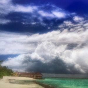 Meet your Posher, Beard